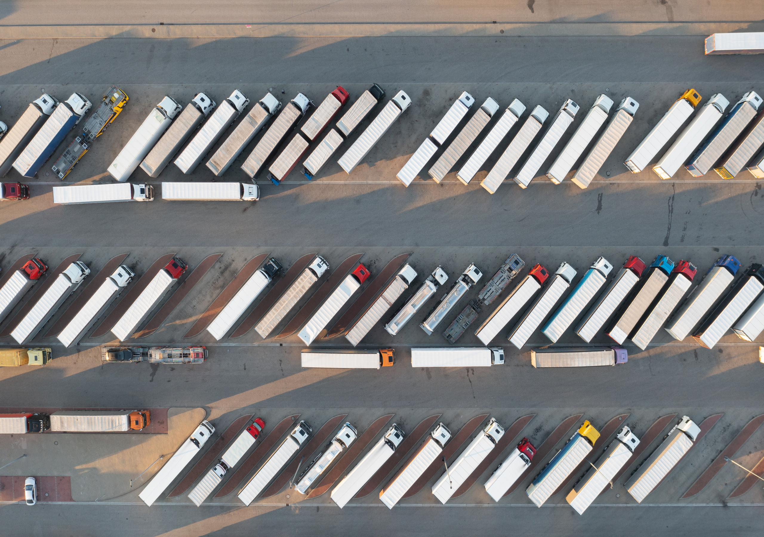 Taylor Swift Trucking Fleet